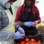 Chios, Refugee relief work – November16, 2016-9